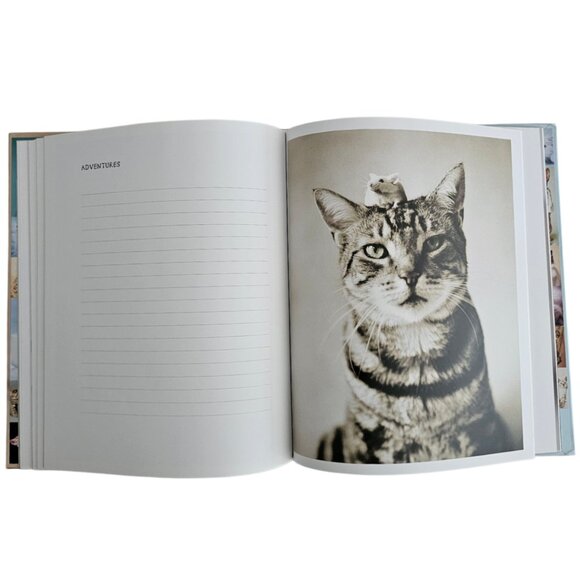 My Cat Record Book By Rachael Hale | Hardcover | NWT | Brown Red - Picture 7 of 16